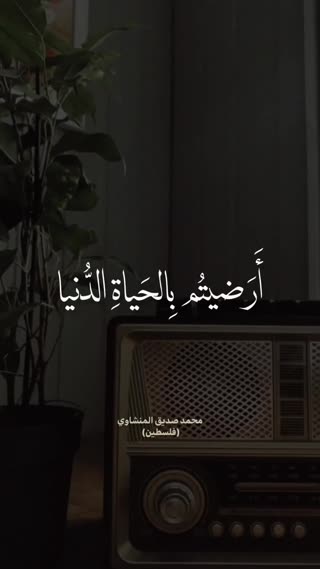 استاد صدیق منشاوی