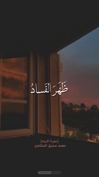 استاد محمد صدیق منشاوی