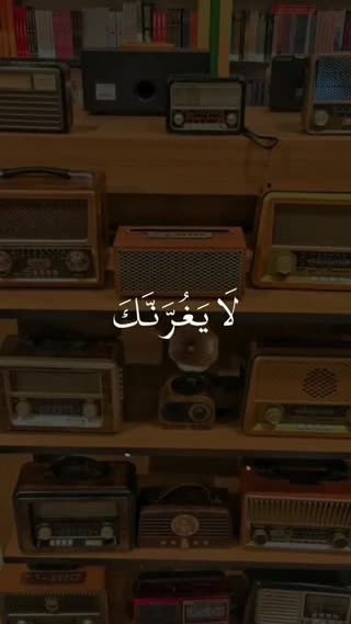 استاد محمد صدیق منشاوی