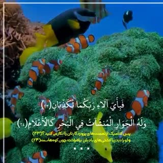 شیخ محمود شحات انور