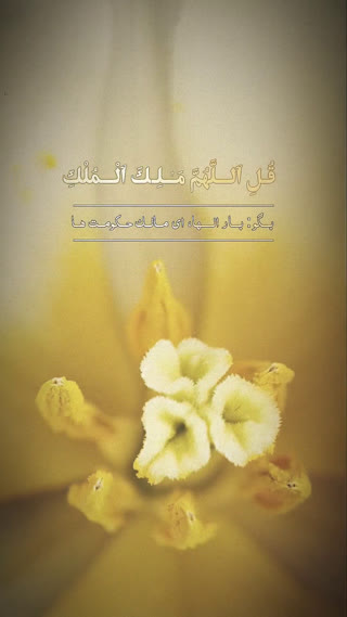 پیام های قرآنی