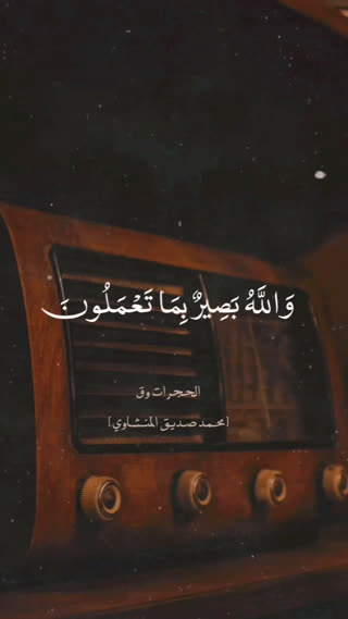 استاد محمد صدیق المنشاوی