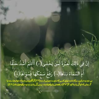 قاری مشهور مصری