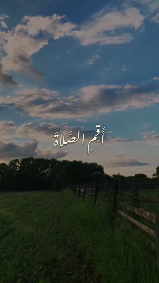 استاد محمد صدیق منشاوی