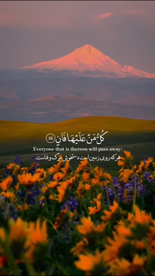 فرازی زیبا از استاد محمد صدیق منشاوی