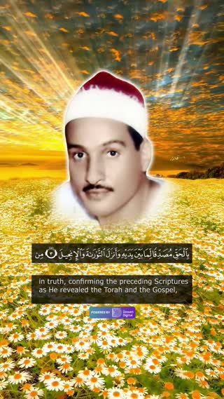 فرازی از استاد حمدی زامل