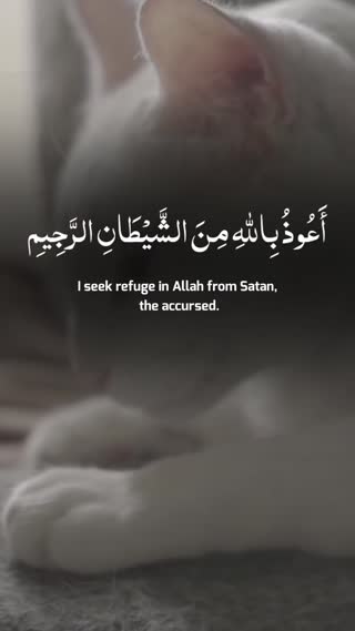 آیات شریفه ۱ تا ۸ سوره مبارکه مزمل