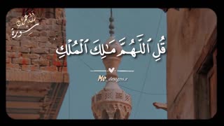 استاد شحات محمد انور 