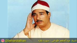 استاد عبدالمنعم طوخي